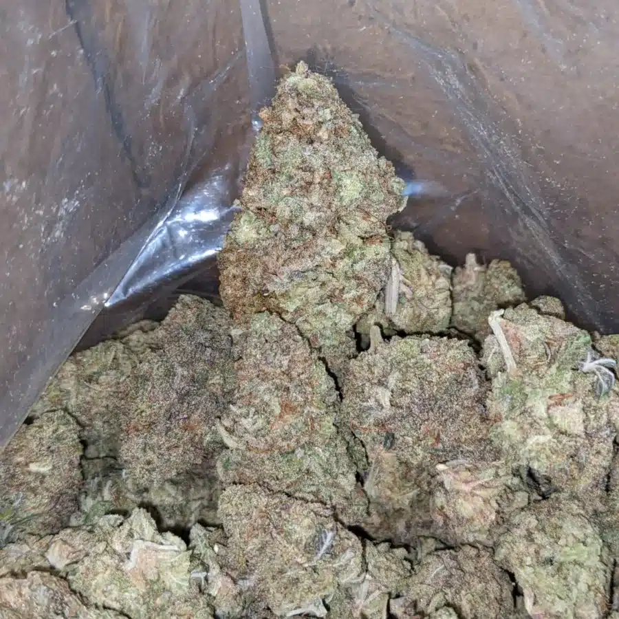 Skunkberry 3 2 I Skunkberry