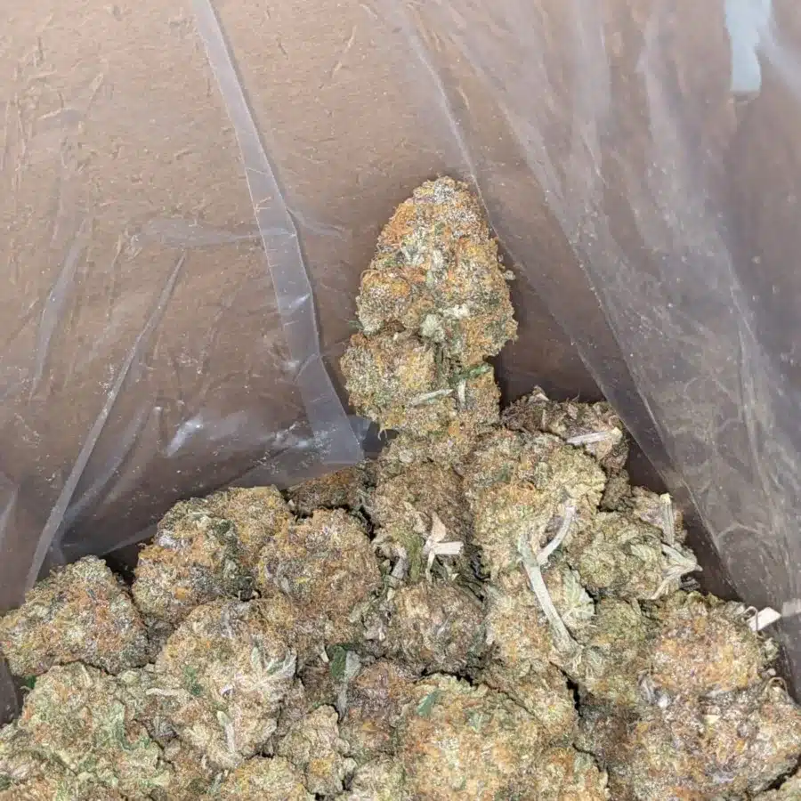 Skunkberry 3 I $ 49 Oz - Skunkberry
