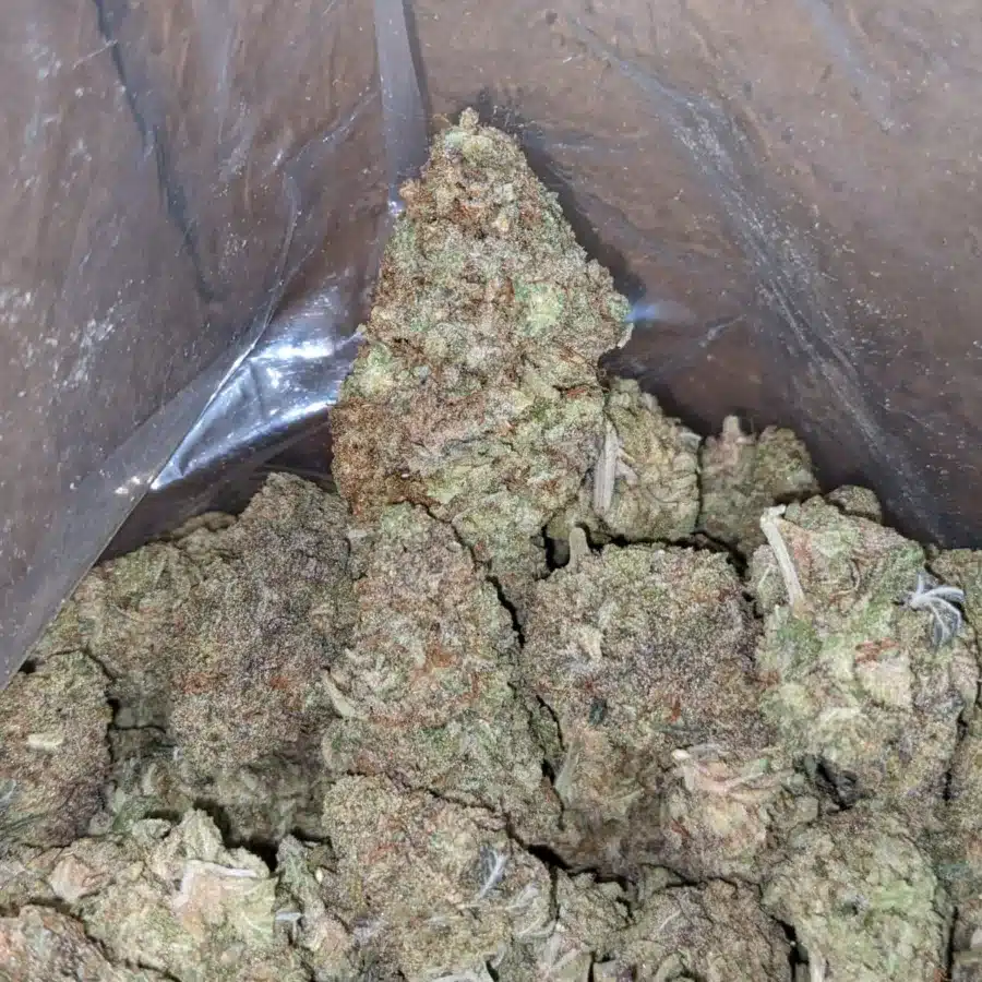 Skunkberry 4 2 I Skunkberry