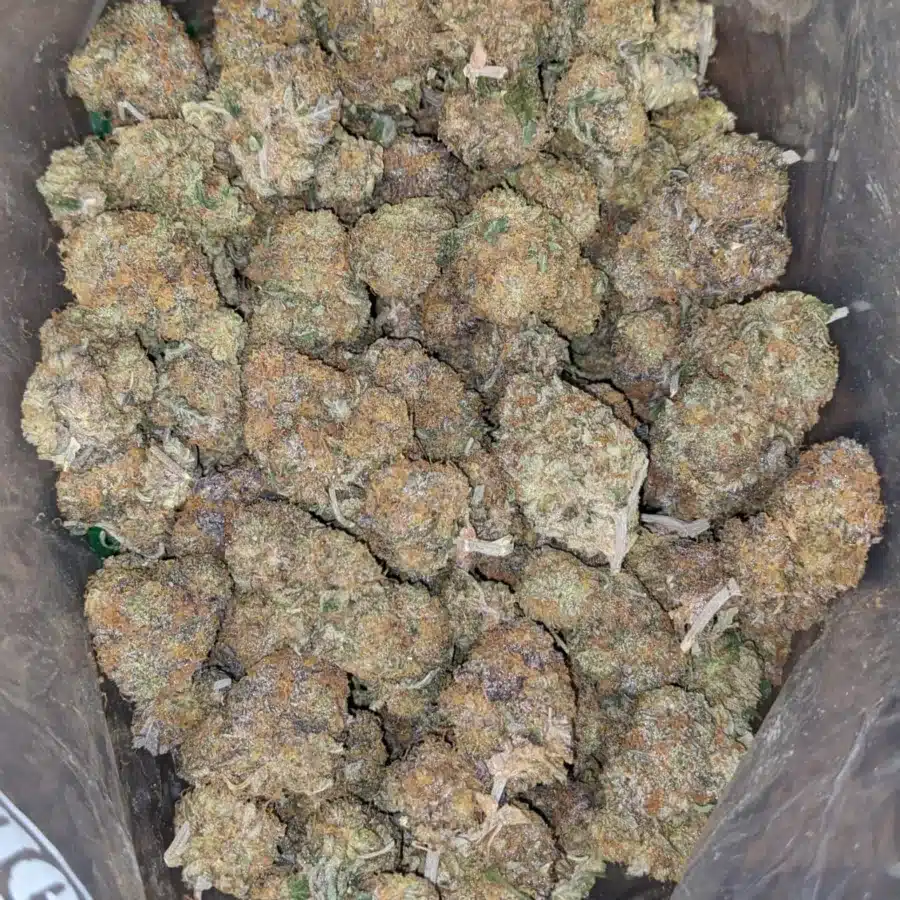 Skunkberry 4 I $ 49 Oz - Skunkberry