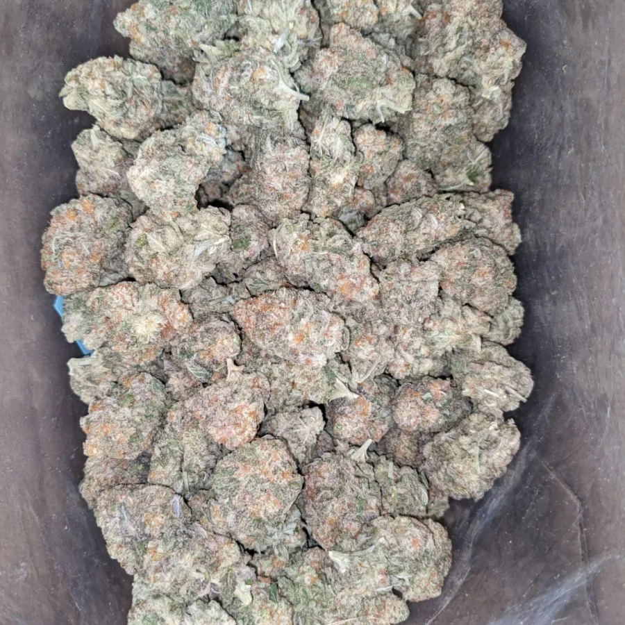 Stardawg
