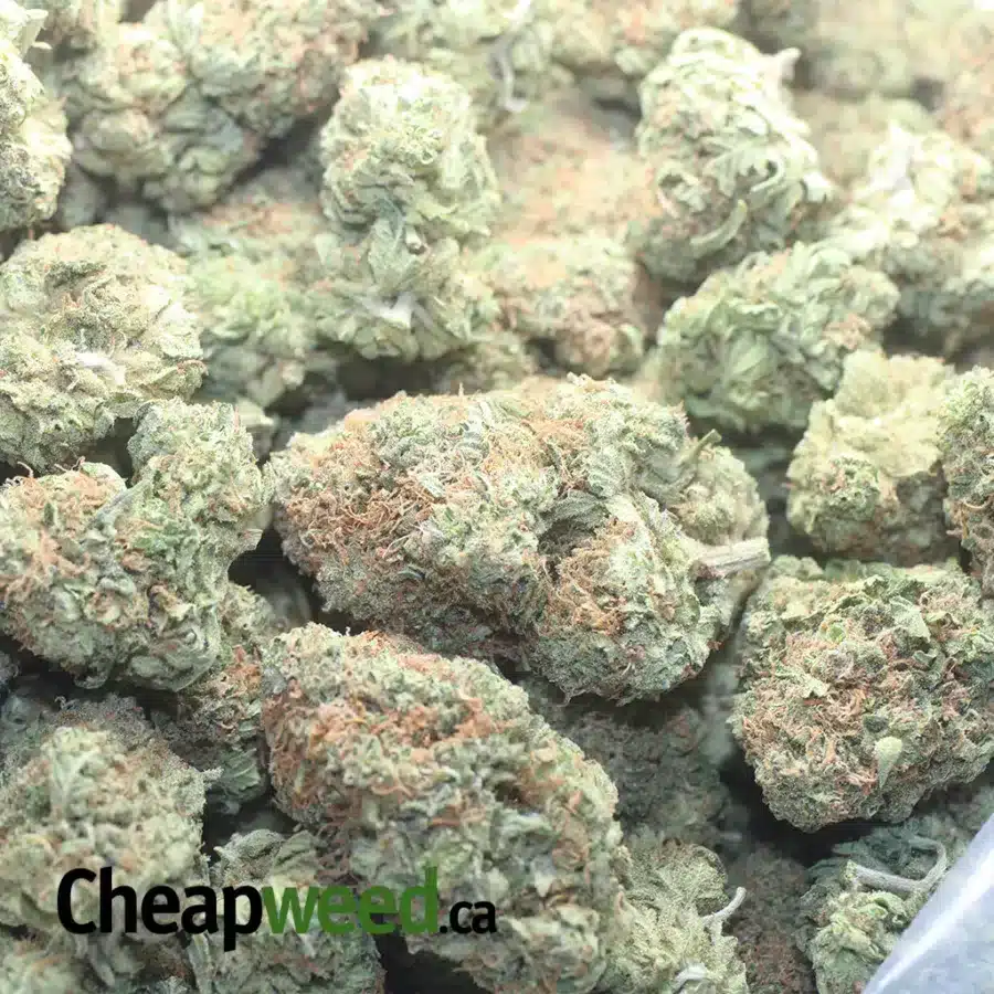 TRAINWRECK 1 2 I Trainwreck #2