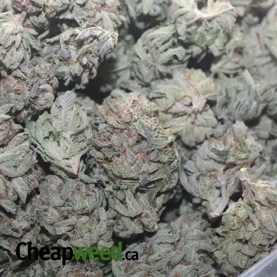 TRAINWRECK 1 I Trainwreck