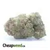 Trainwreck #2