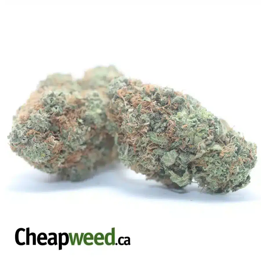 Alternative view of Trainwreck #2