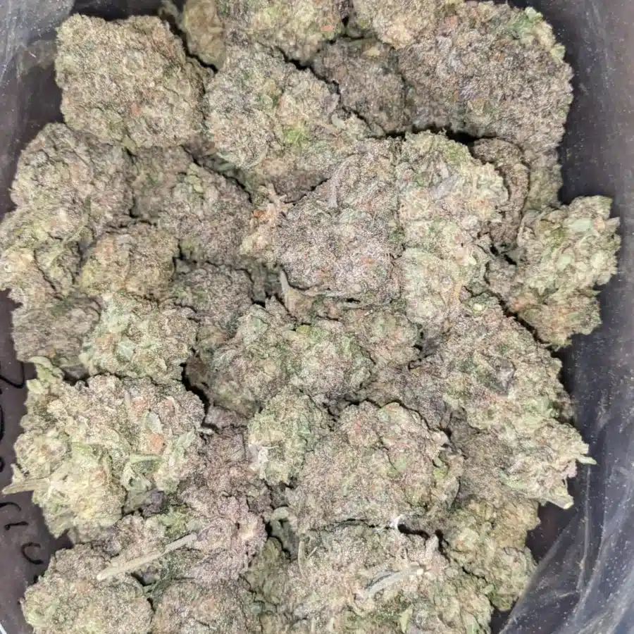 Triangle Mints #2