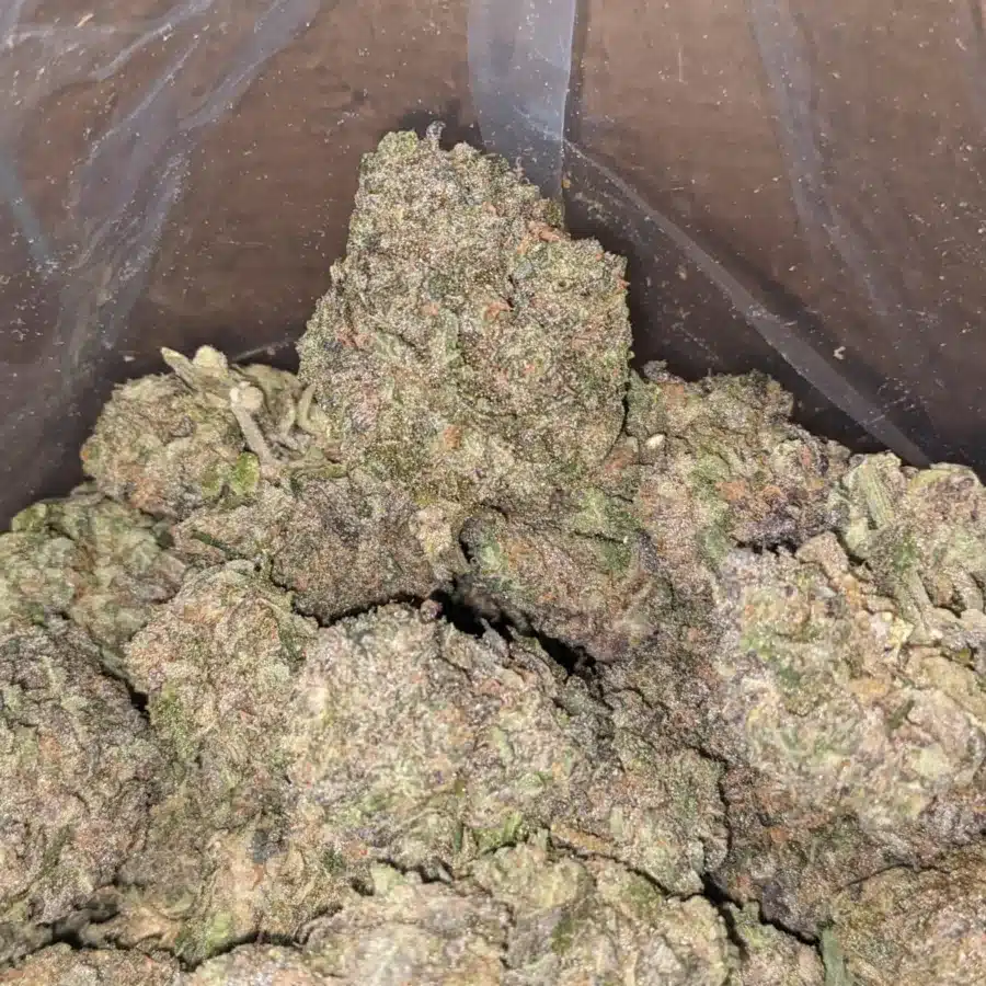 TRIANGLE MINTS 3 I Triangle Mints #2