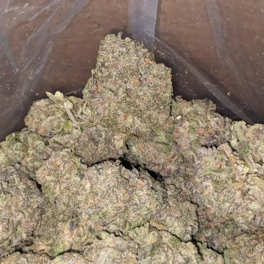 TRIANGLE MINTS 4 I Triangle Mints #2