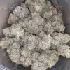 Tropicana Cookies