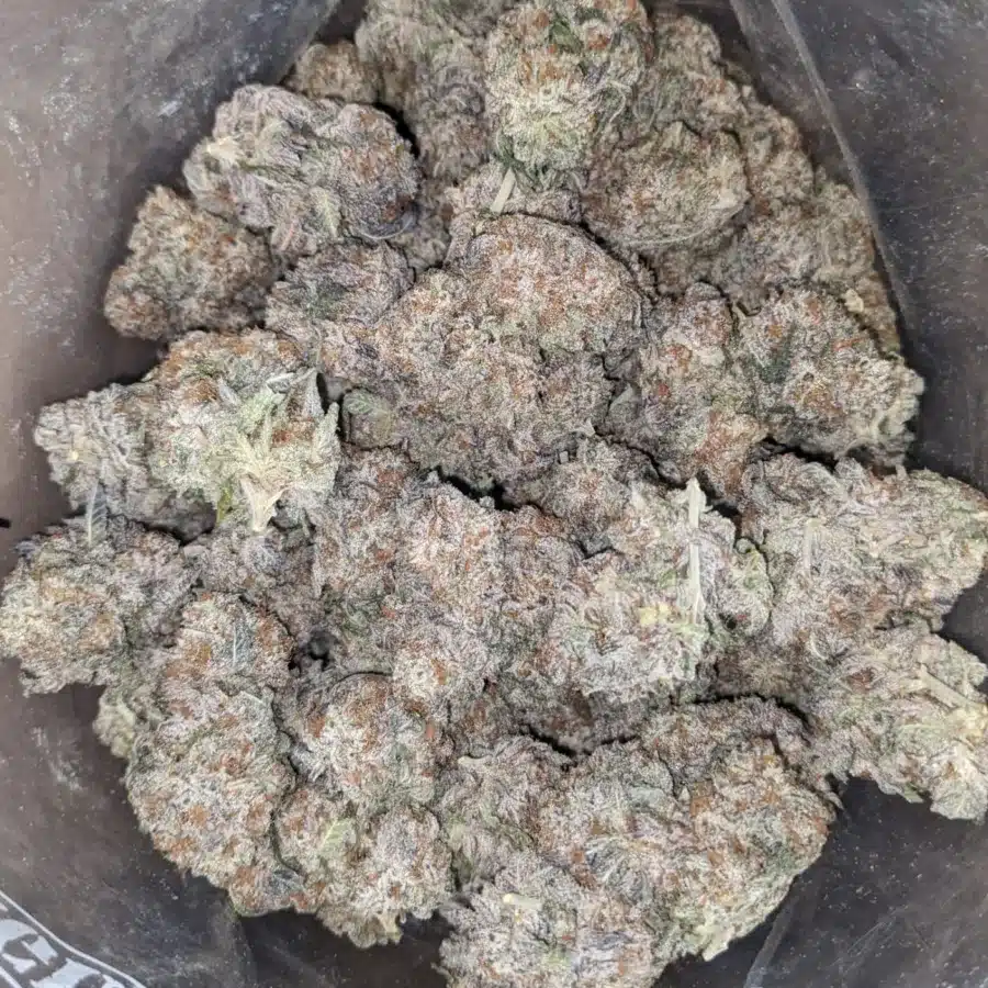 Tropicana Cookies