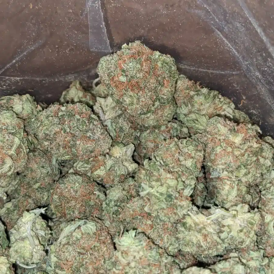 Trainwreck 1 1 I Trainwreck #2