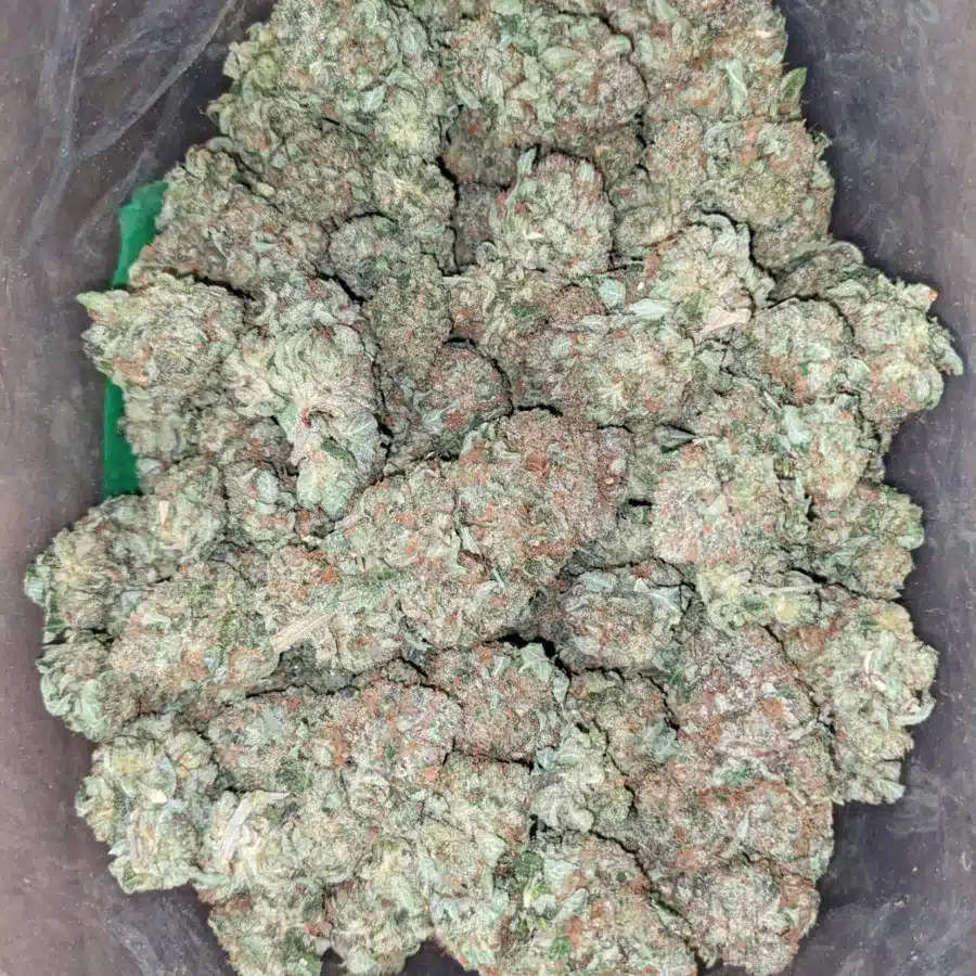 Trainwreck 1 3 I Trainwreck