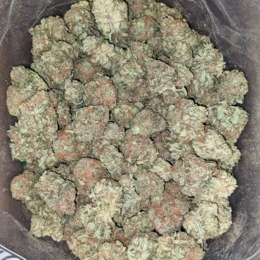 Trainwreck 2 1 I Trainwreck #2