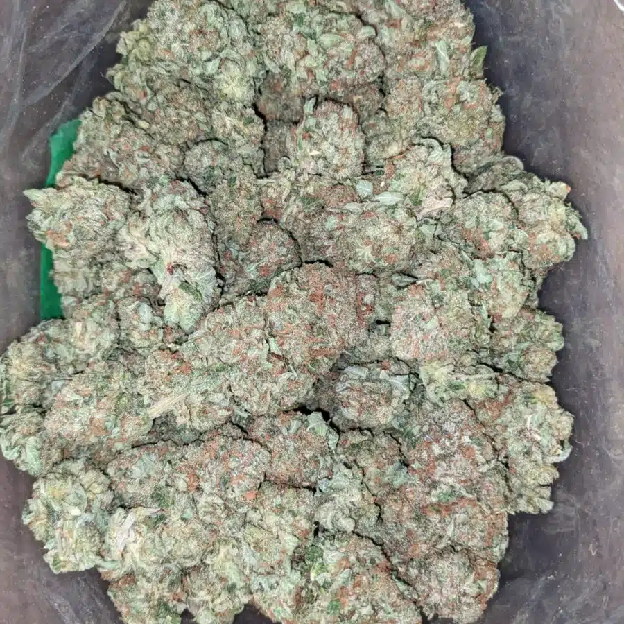 Trainwreck