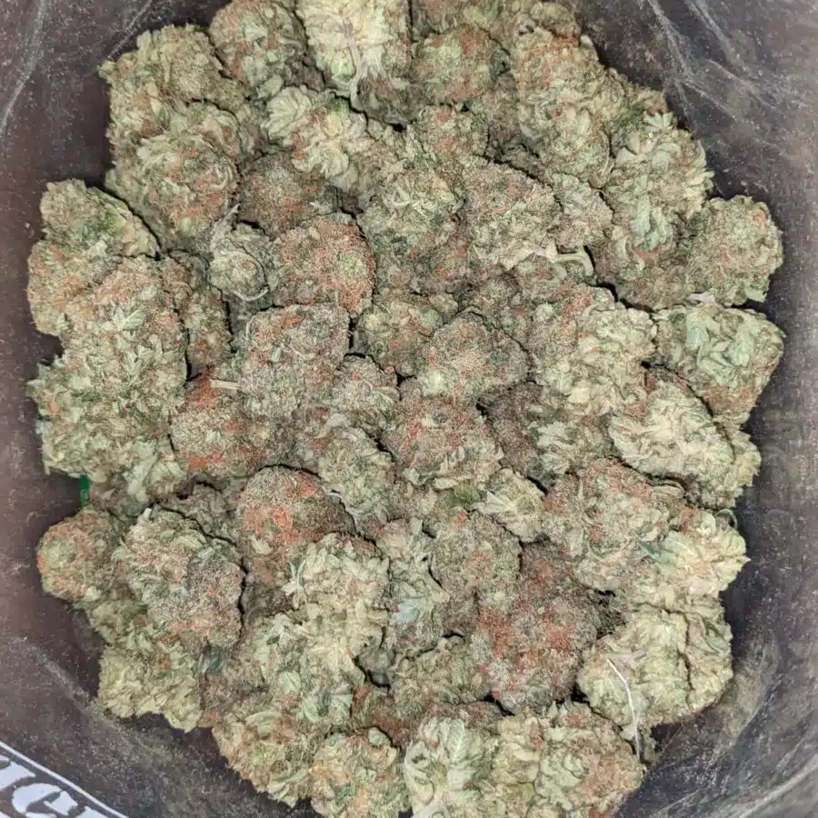 Trainwreck 3 1 I Trainwreck #2
