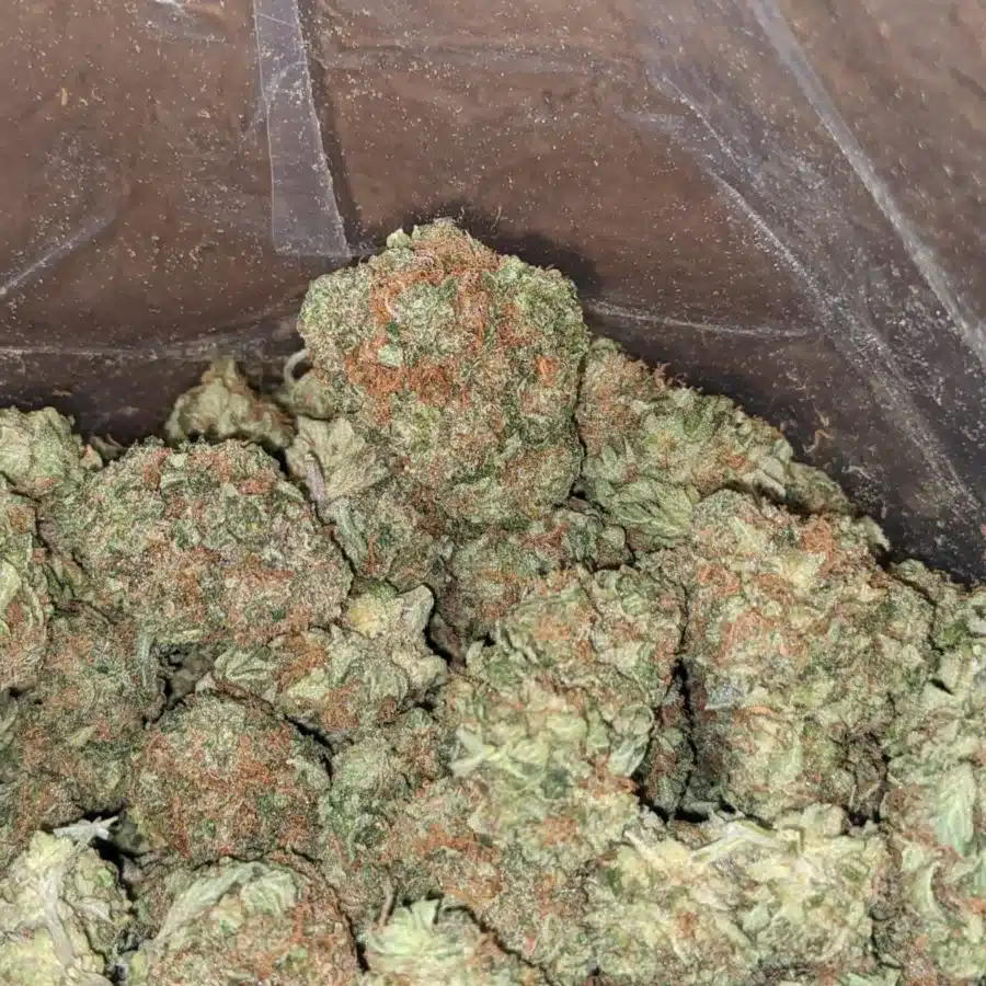 Trainwreck 4 I Trainwreck #2