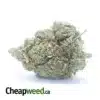 Afghan Kush