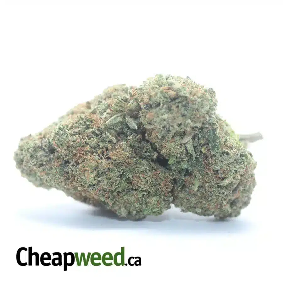 $ 65 Oz - Afghani Bullrider