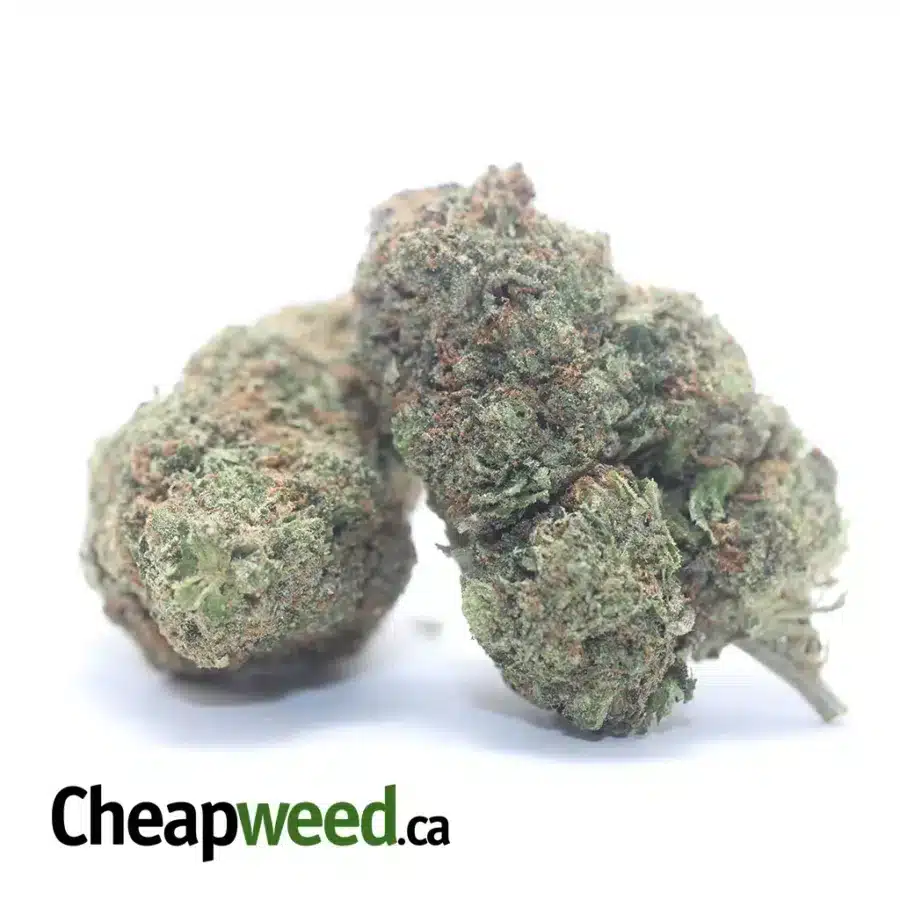 Alternative view of $ 65 Oz - Afghani Bullrider