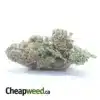 $46 Oz - Animal Crackers (Scrappy)
