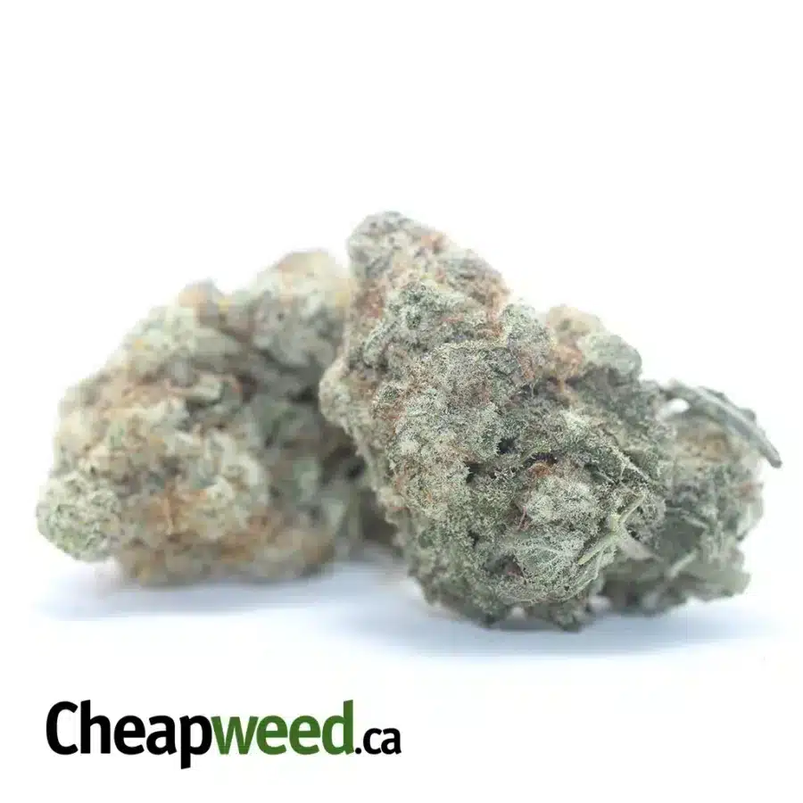 Alternative view of $ 43 Oz - Animal Face