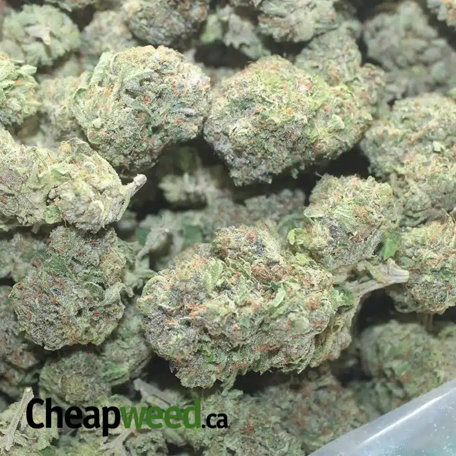 ASTROPINK 1 I $ 65 Oz - Astropink