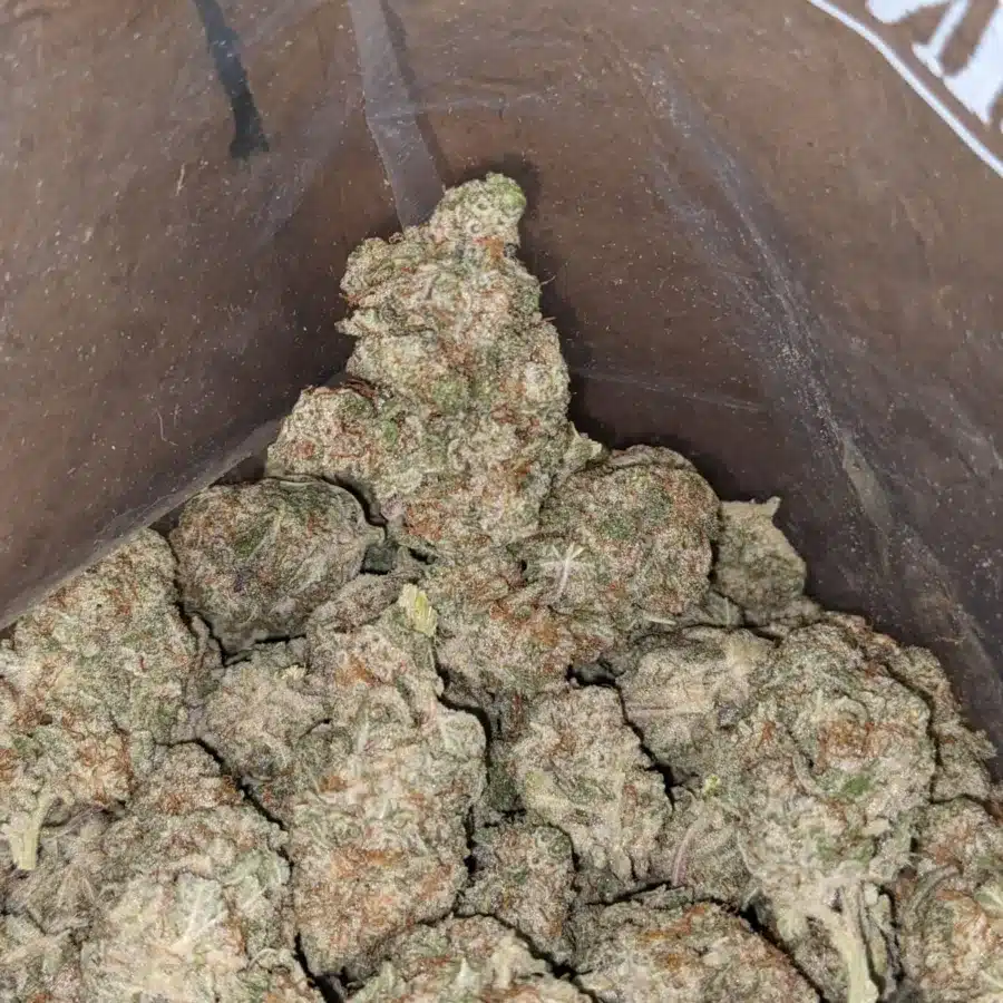 Animal face 3 1 I $ 46 Oz - Animal Face