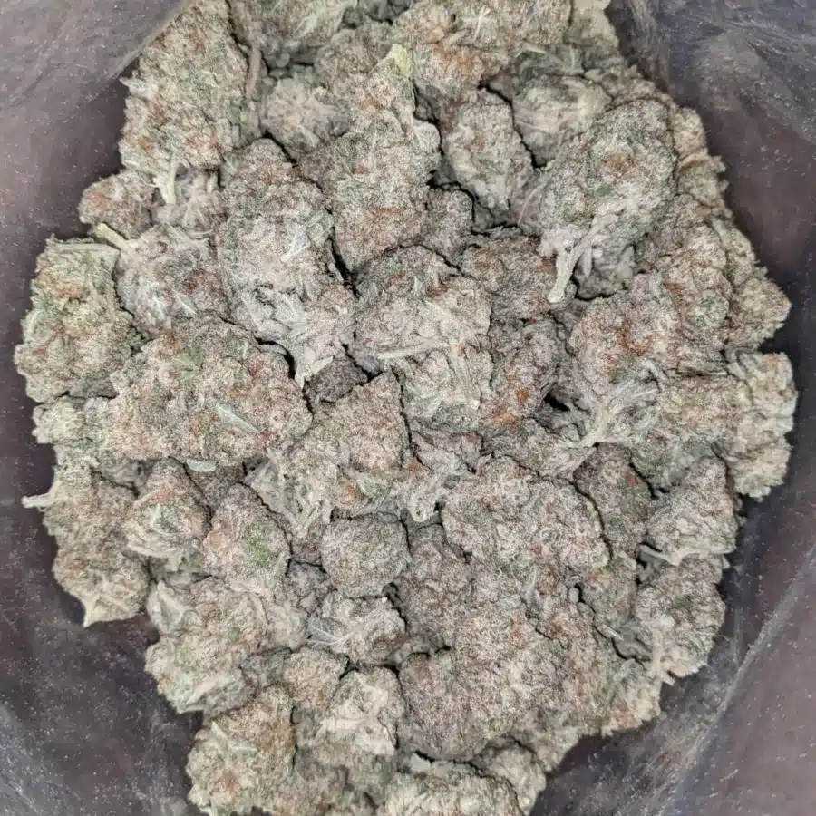 Animal face 4 I $ 46 Oz - Animal Face
