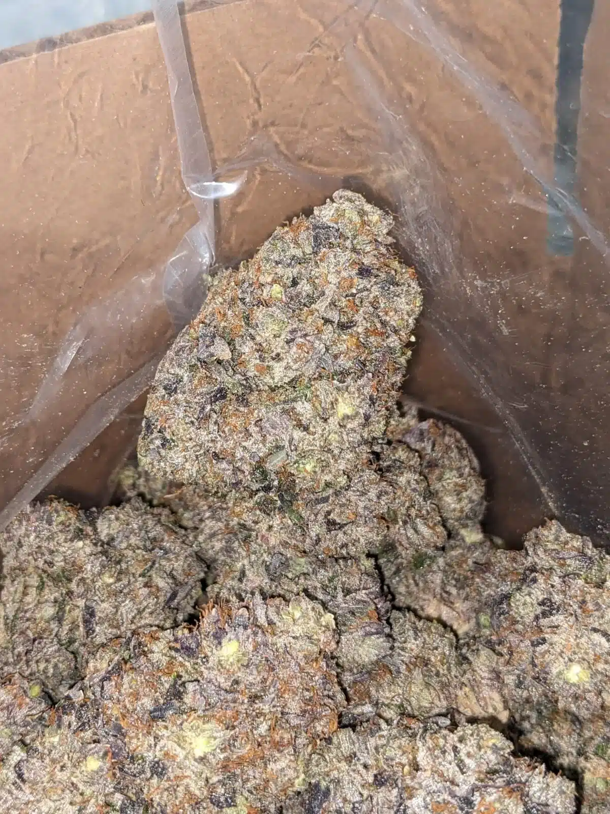 Astropink AAAA - Image 2
