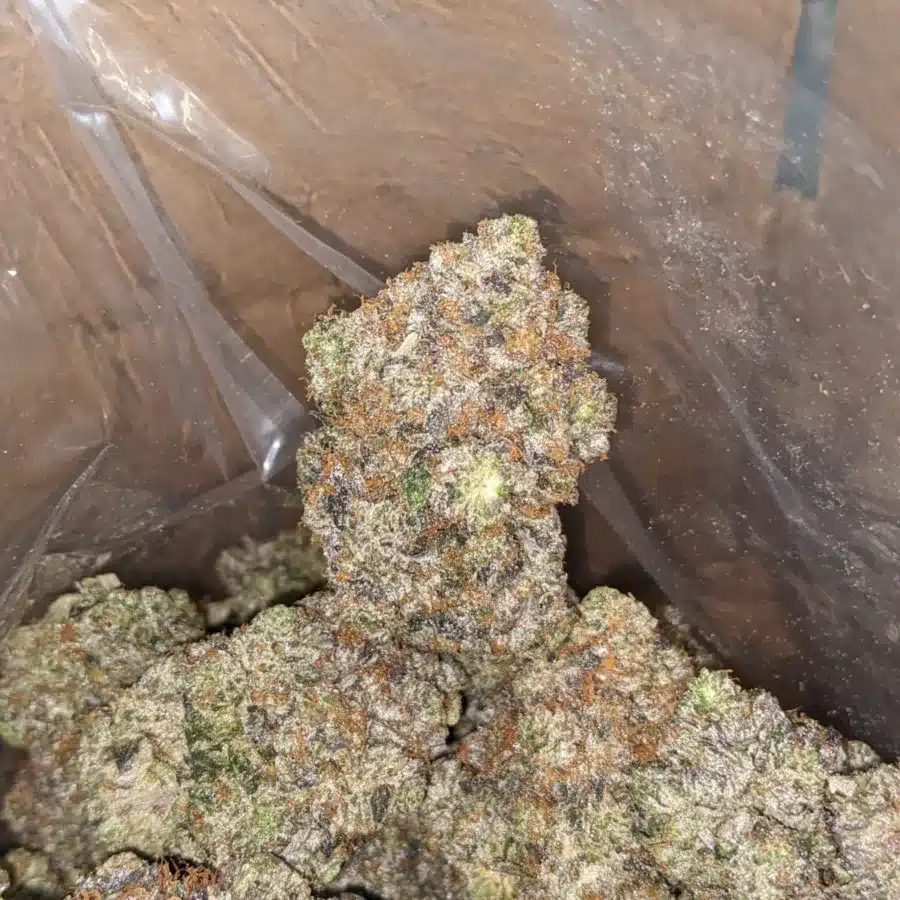 Astropink AAAA 4 I Astro Pink AAAA