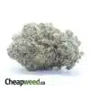 Black Gas