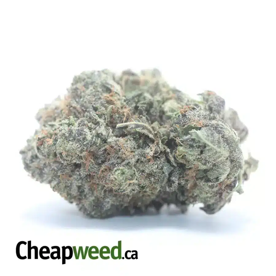 Black Gas