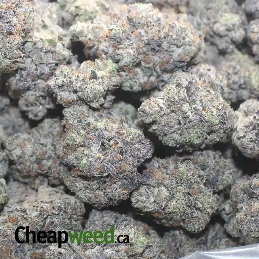 BUBBA OG 1 I Bubba OG