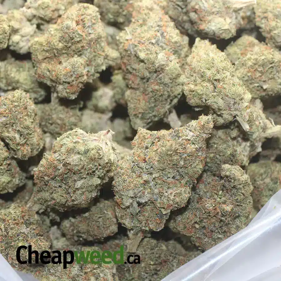 CHEMO 1 I $ 50 Oz - Chemo