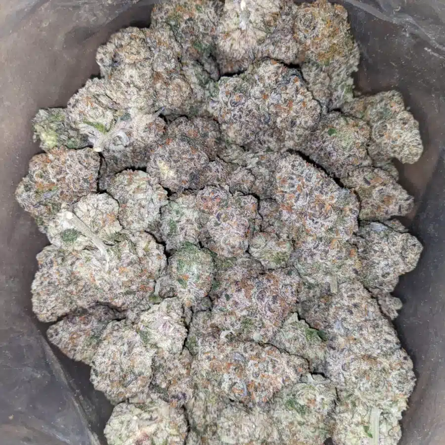 Candyland 2 1 I Candyland