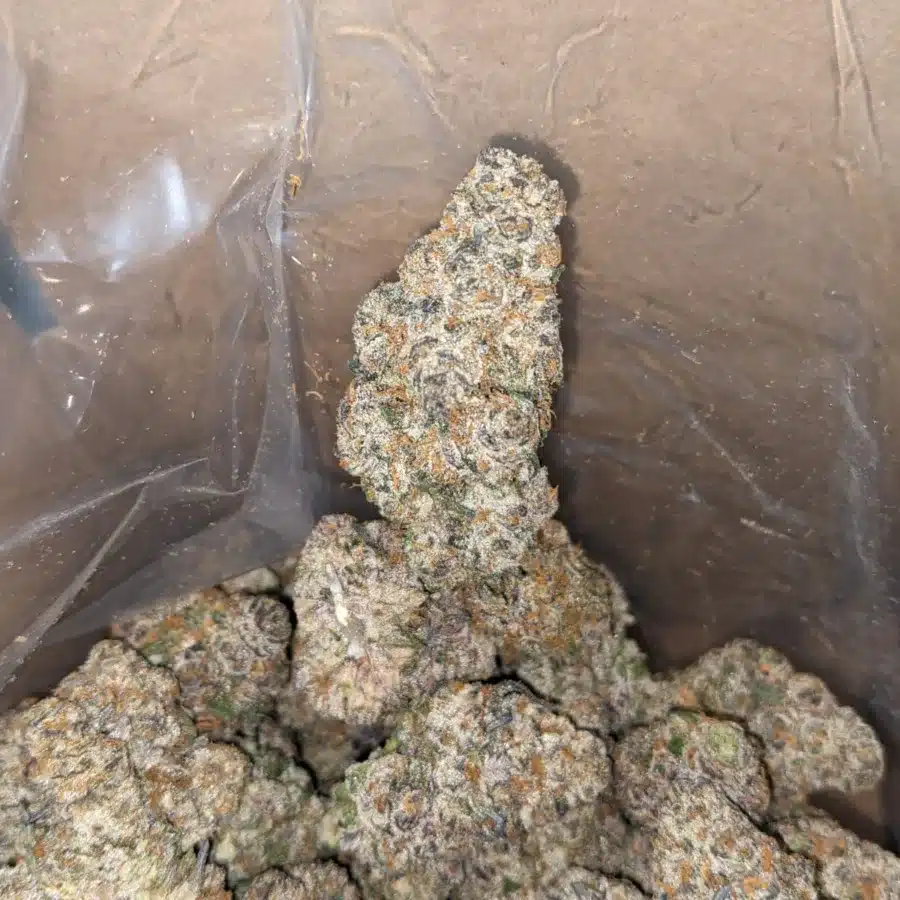 Candyland 3 1 I Candyland
