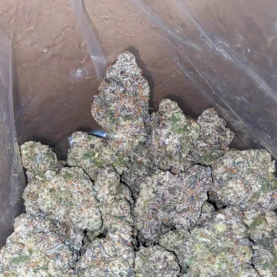 Candyland 3 I Candyland