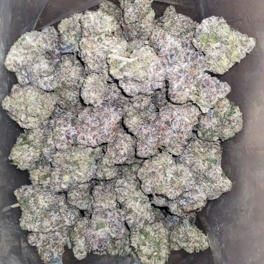 Candyland 4 I Candyland