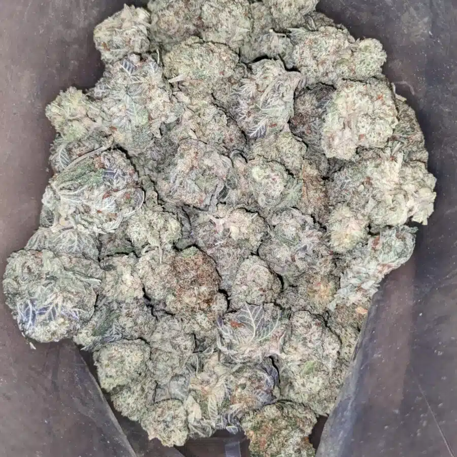 Cookies and cream 3 1 I Cookies And Cream