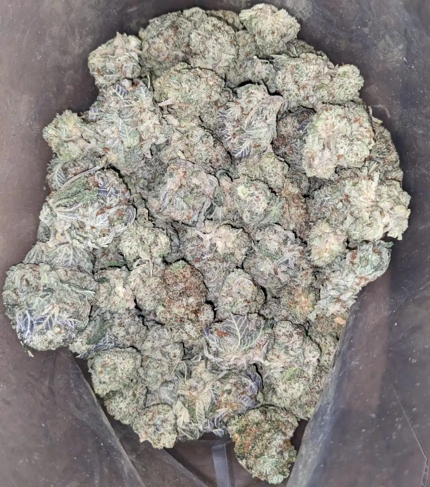 Cookies And Cream - Image 5