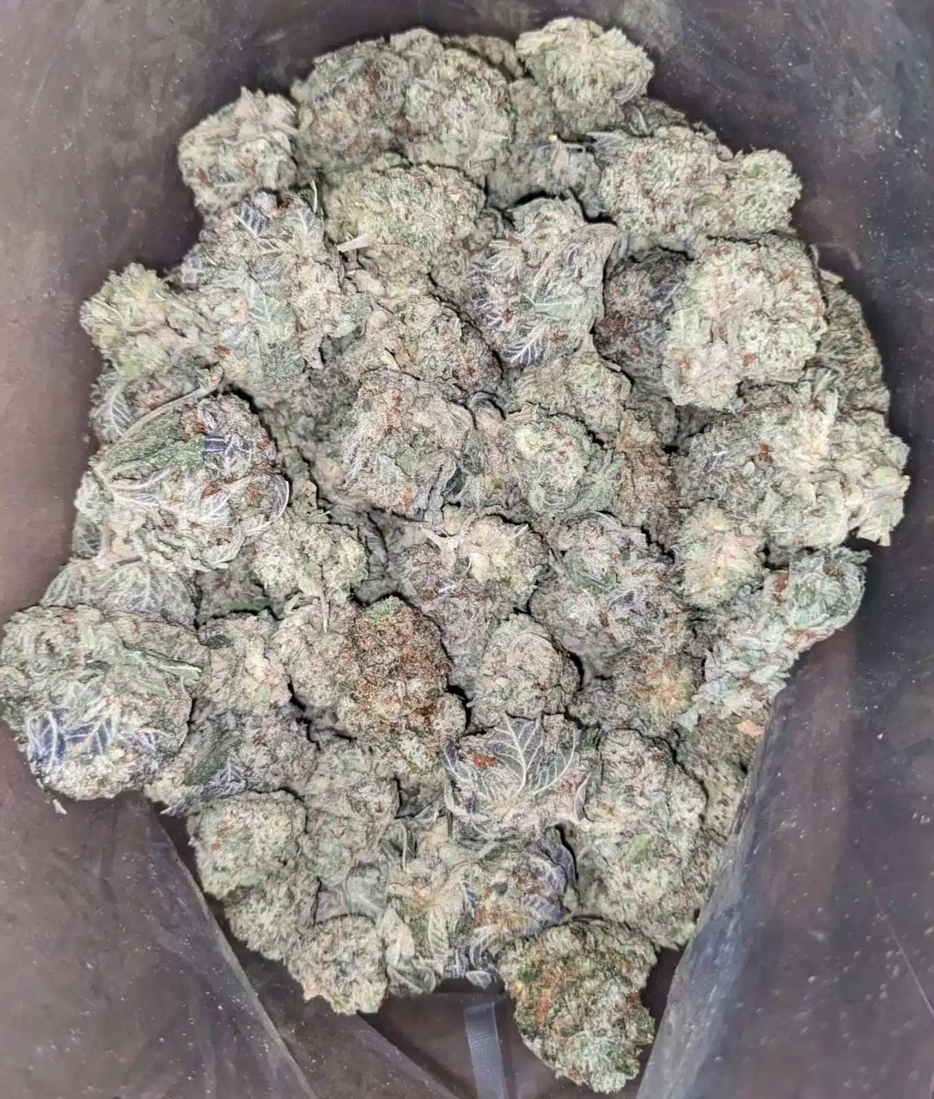 Cookies And Cream - Image 4