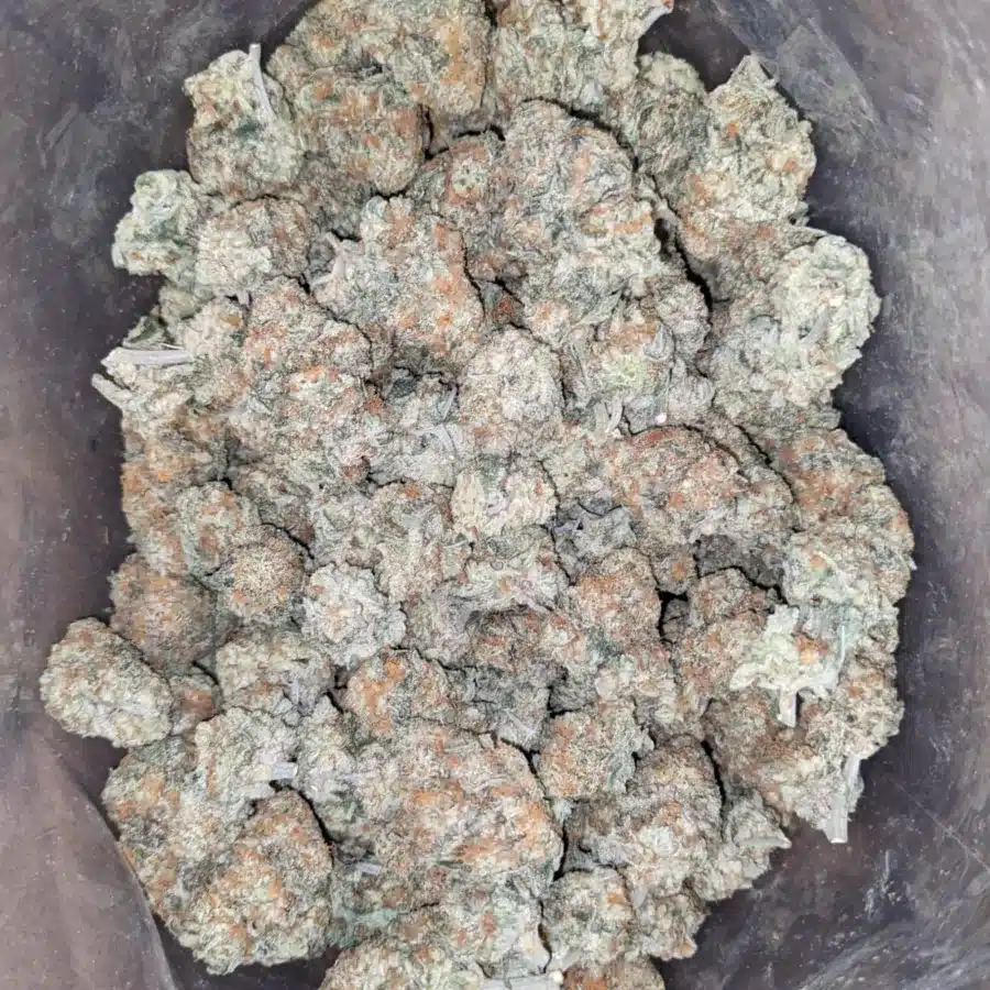 Crunchberries