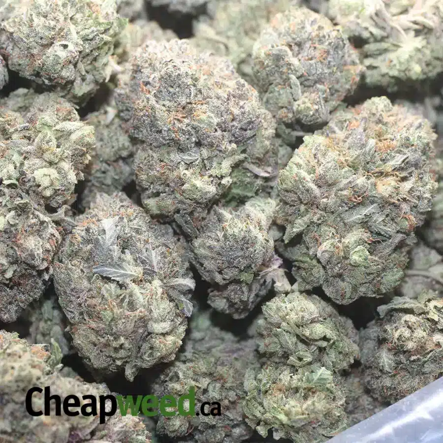 DEATH BUBBA AAA 1 1 I $ 72 Oz - Death Bubba