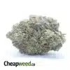 Death Bubba AAA