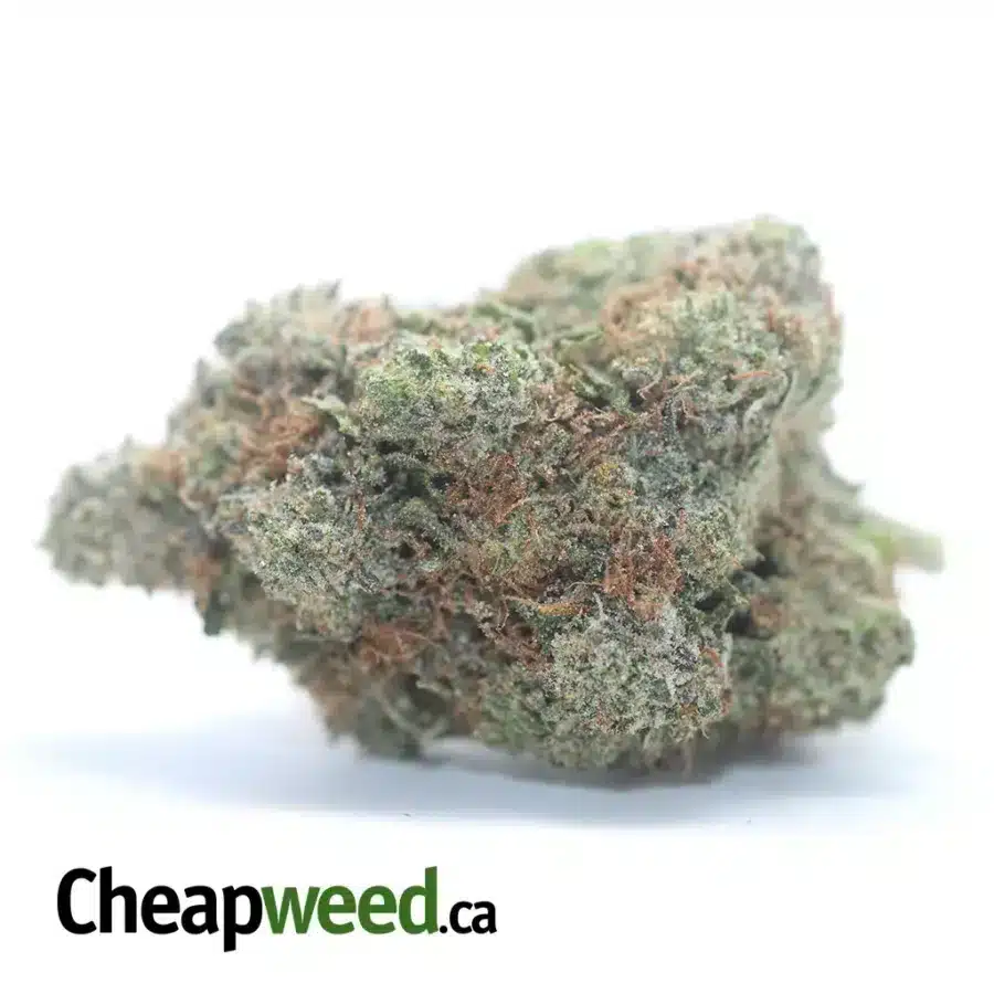 Death Bubba x Master Kush