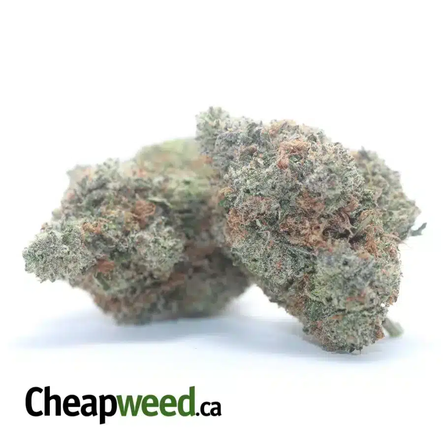 Alternative view of Death Bubba x Master Kush