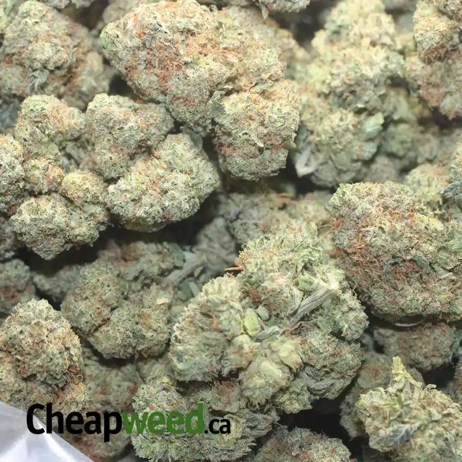 DONKEY BUTTER 1 I $ 47 Oz - Donkey Butter