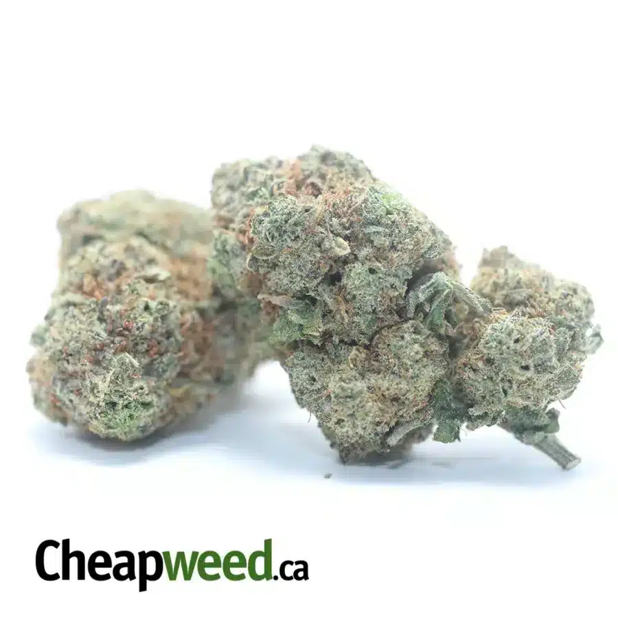 Alternative view of $ 47 Oz - Donkey Butter