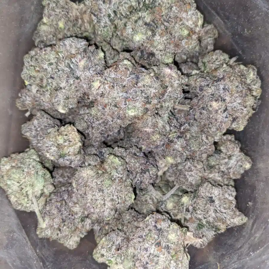 Darth Vader