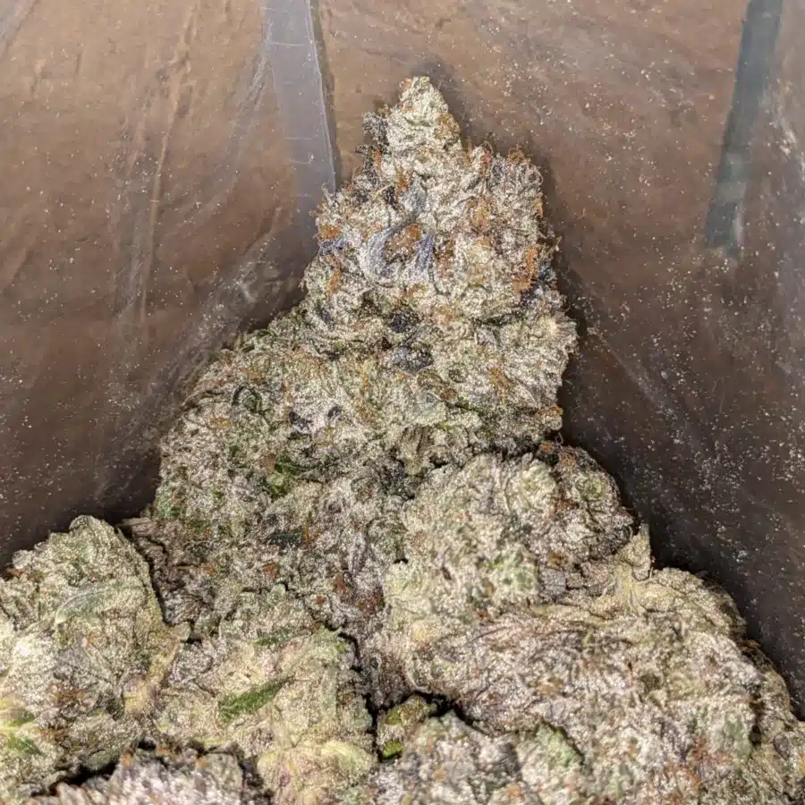 Death Bubba AAAA 4 I Death Bubba AAAA